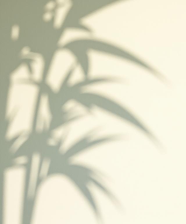 Abstract image showing the soft shadow of a bamboo leaf on a textured 'washi' paper wall.